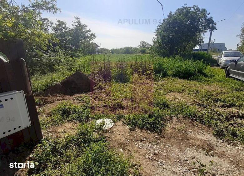 Teren de 5000 mp, în Copăceni