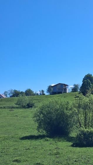 Teren Construcții extravilan de 12000 mp, în Sohodol