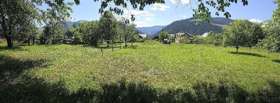 Teren de 1350 mp, în Borca