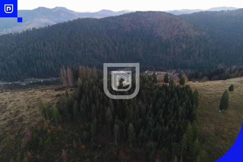 Teren extravilan de 3139 mp, în Vest