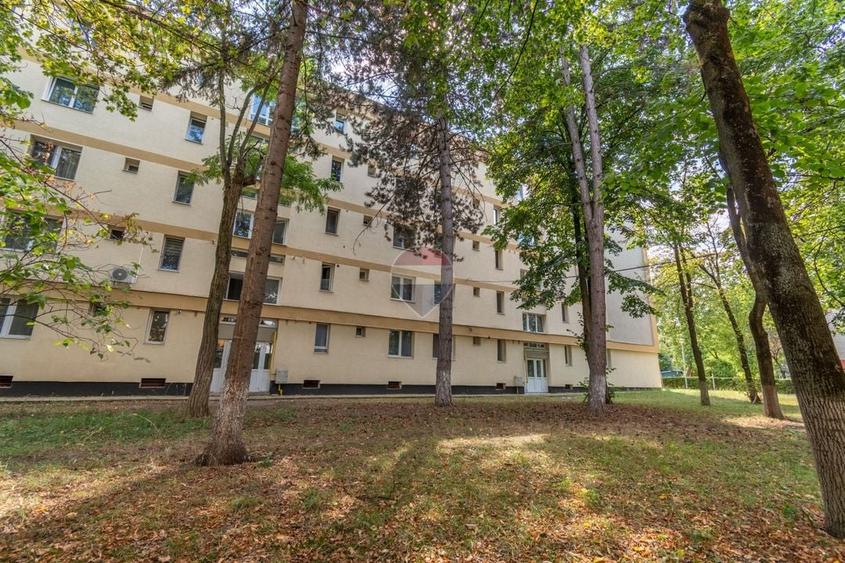 Apartament cu 3 camere decomandat, mobilat în Gheorgheni