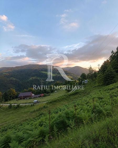 Teren 10.900mp | Panoramă în Apuseni | Remeți -Ideal pentru Investitii - 2