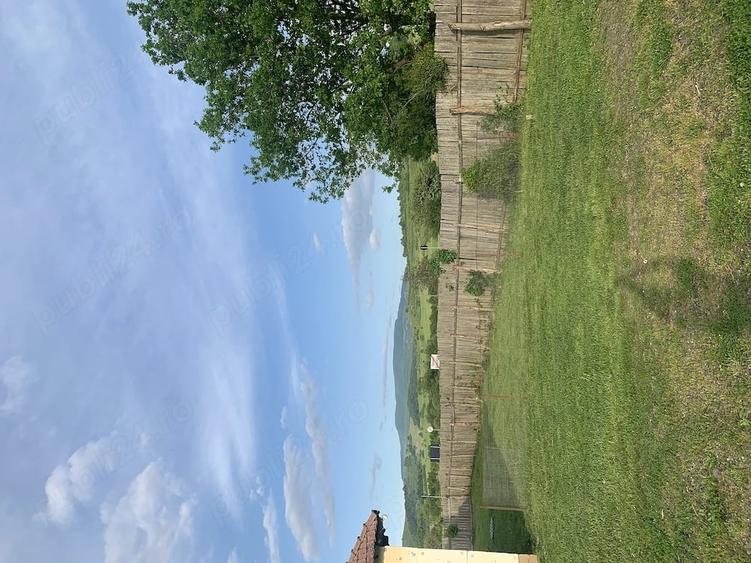 Casă cu Teren 4000 Mp în Dămieni