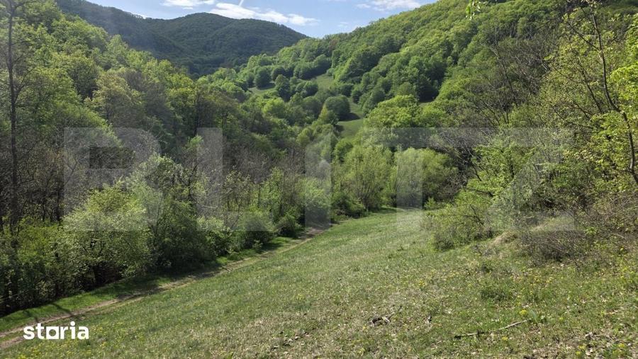 Teren de 9083 mp, în Meteș