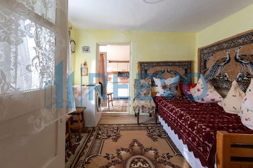 Casa si teren 3365mp Sascut - 22