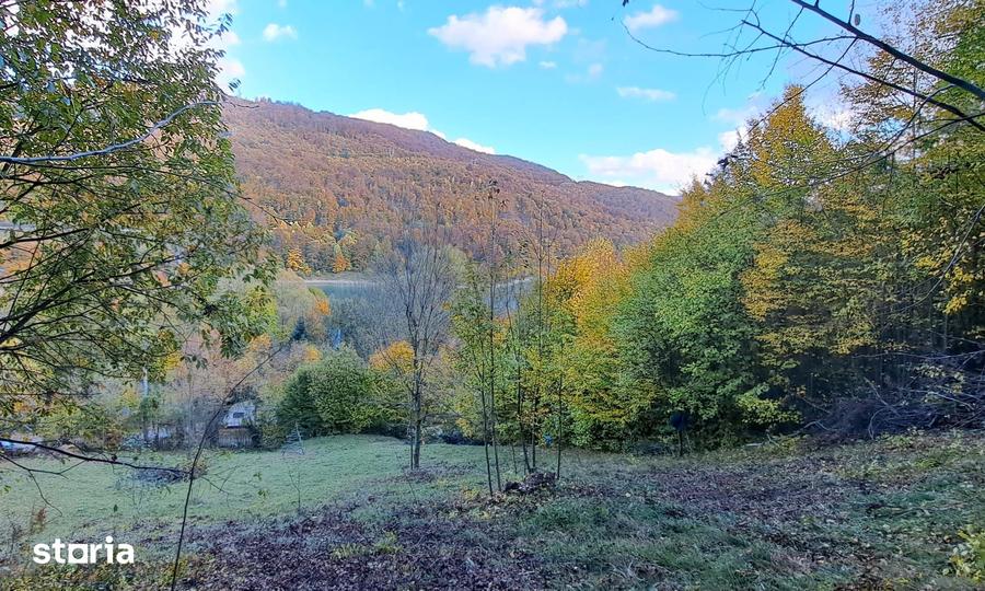 Teren de 2000 mp, în Valea Doftanei