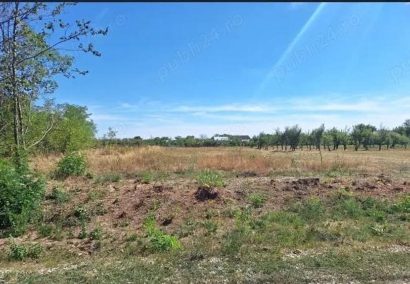 Teren de 1500 mp, în Broșteni (Costești)