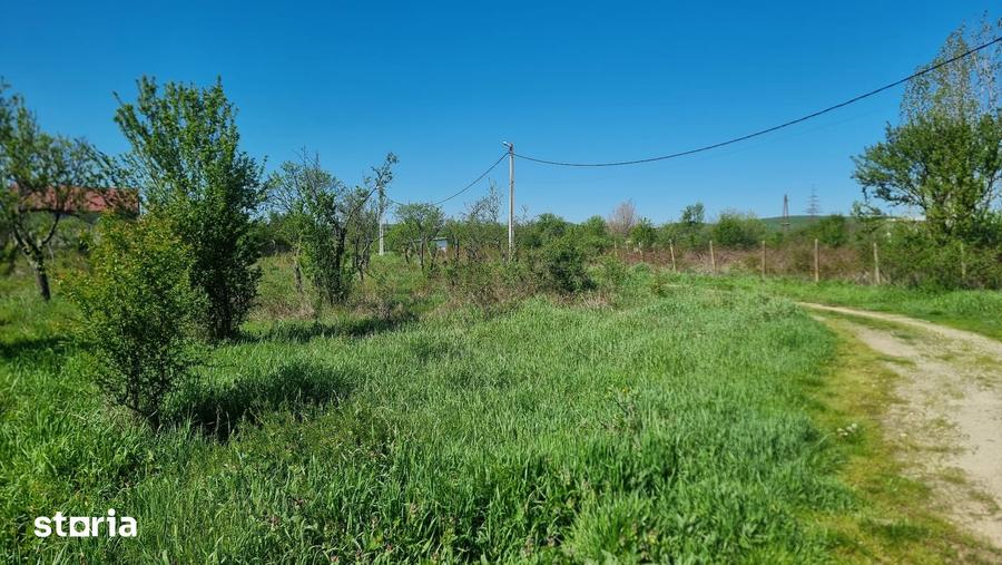 Teren de 800 mp, în Bascov
