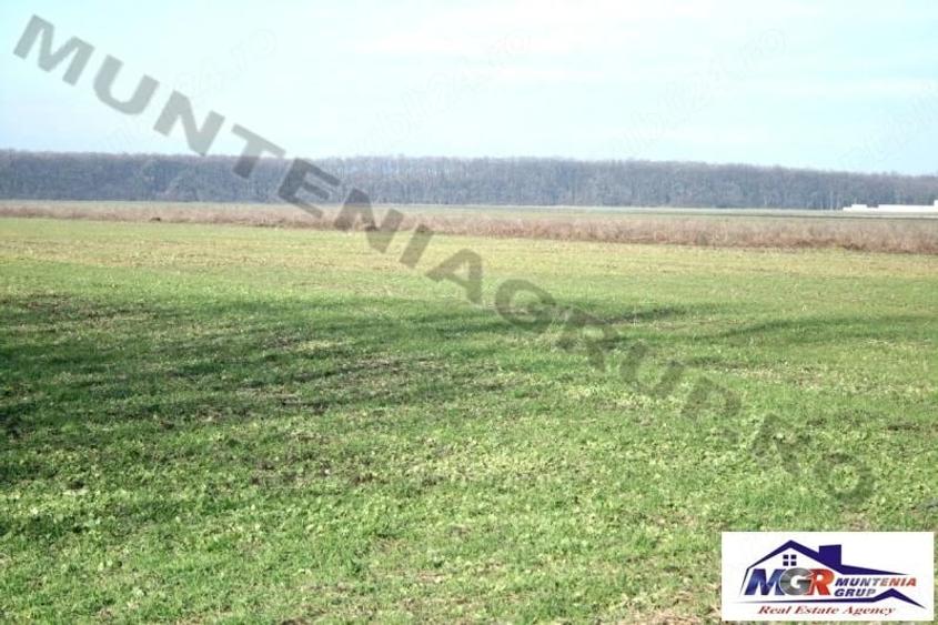 Teren de 20000 mp, în Afumați