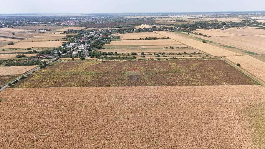Teren Construcții intravilan de 8648 mp, în Moșteni