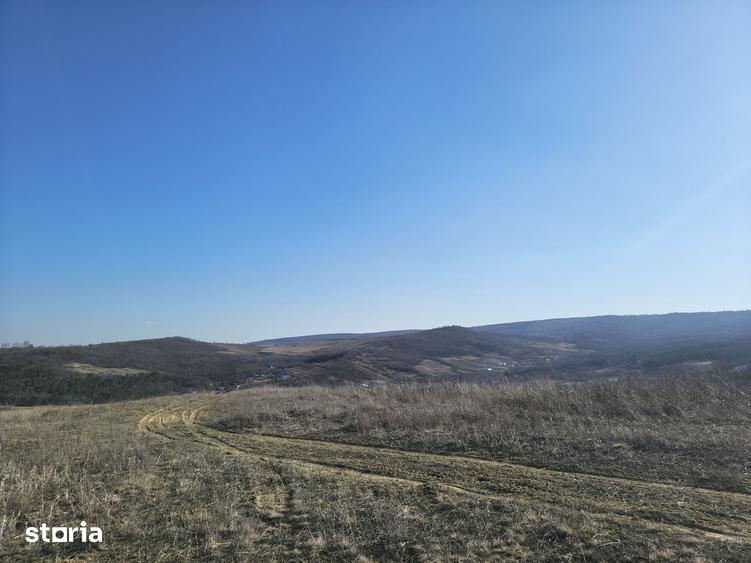 Teren de 510 mp, în Tomești