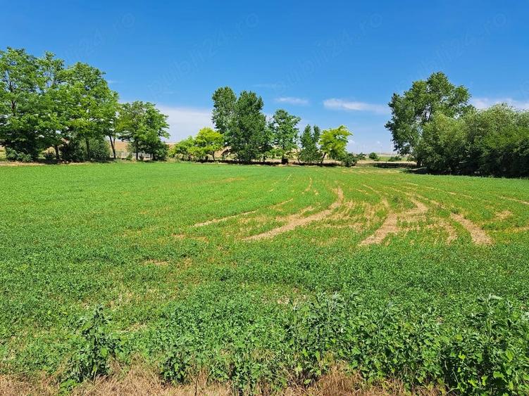 Casă cu Teren 2000 Mp în Valea Nucarilor