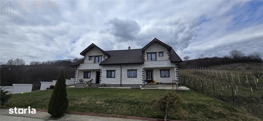 Casă cu 5 camere cu Teren 1450 Mp în Viișoara