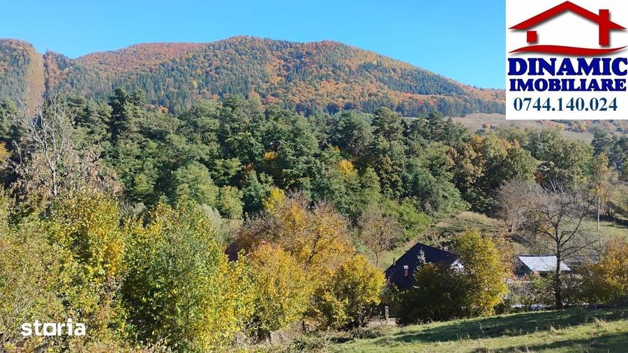 Teren de 3600 mp, în Alexandru cel Bun