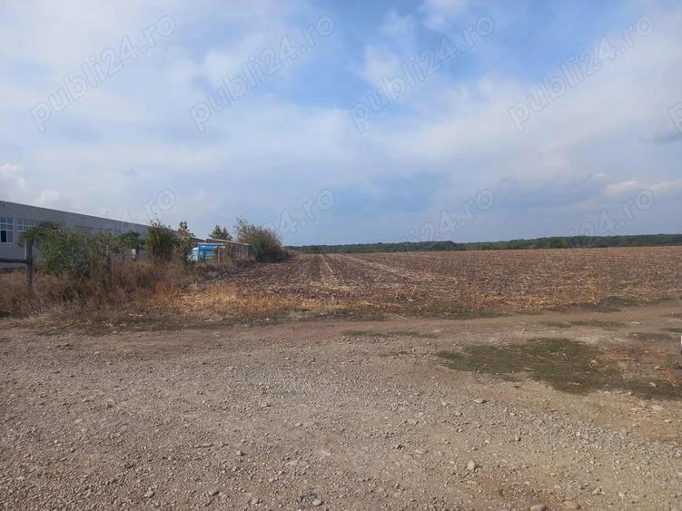 Teren Dascalu, 10.000 mp - 7