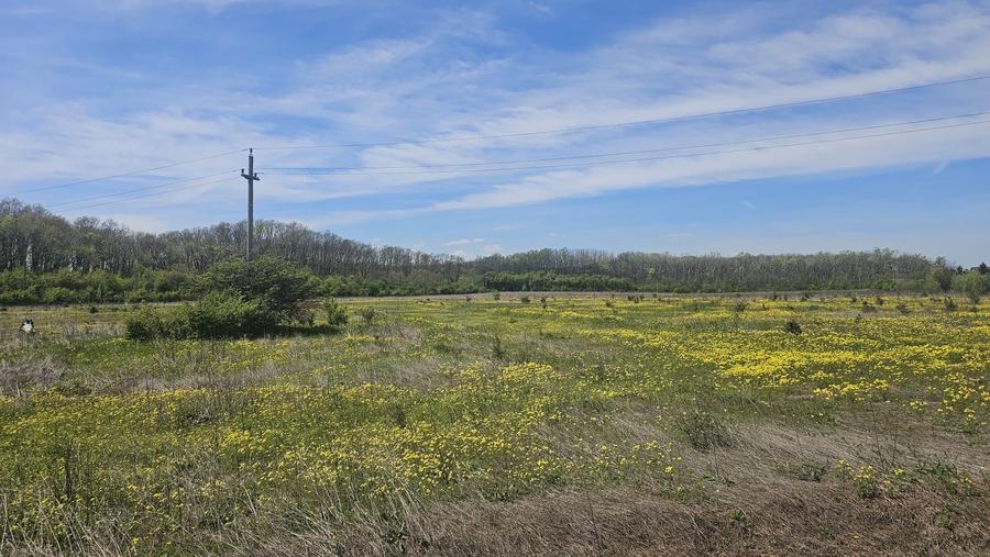 Teren Construcții intravilan de 35000 mp, în Balotești