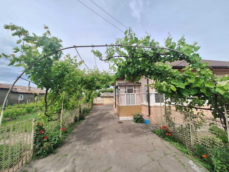 Vanzare casa Colibasi, Bz. - 4