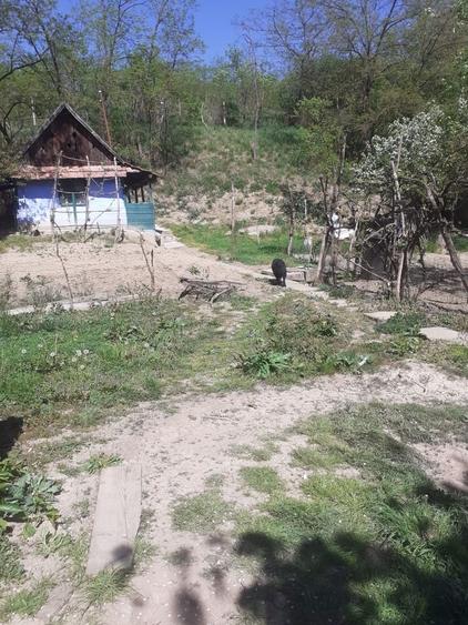 Casă cu Teren 400 Mp în Central