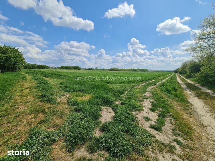 Vand Teren Agricol 200 Hectare in Jude?ul Arad