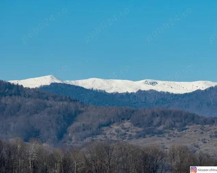 Teren în Teișani