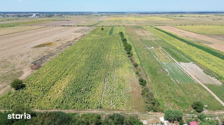 Teren intravilan in Darza (langa Buftea) deschidere 24m, pret negocia - 2