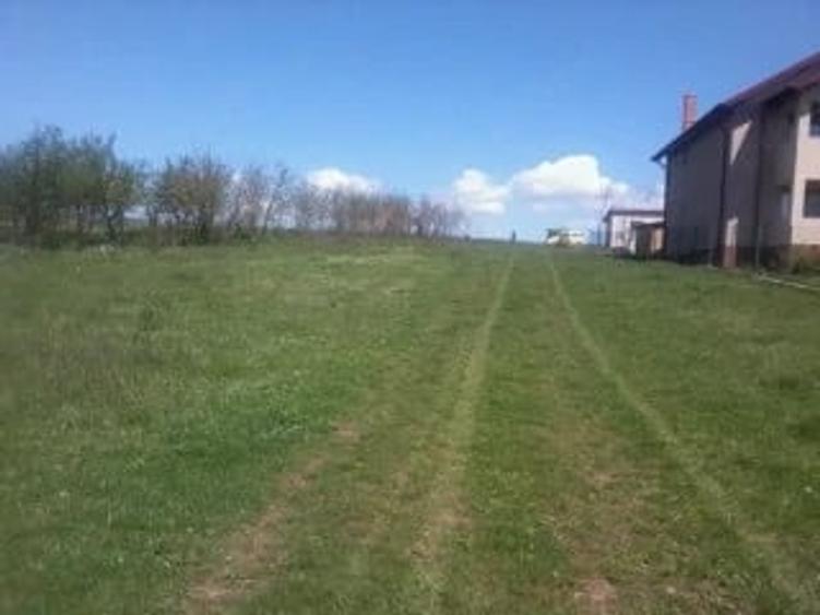 Teren de 4000 mp, în Podu Ilfovățului