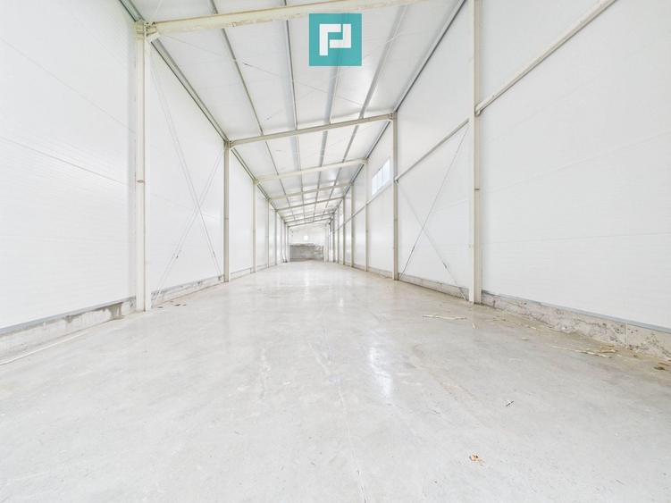 Spațiu industrial, de 563 mp, în Sânandrei