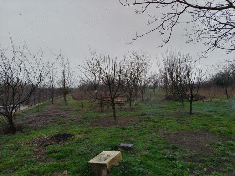 Casă cu 5 camere în Racovița