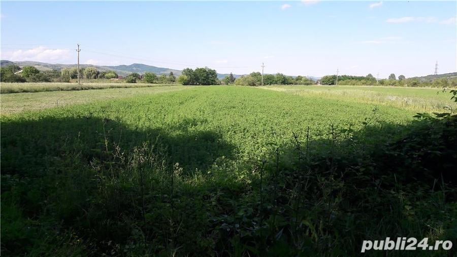 Teren de 4997 mp, în Pârscov