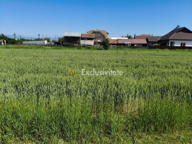 Teren agricol intravilan de 10294 mp, în Sud