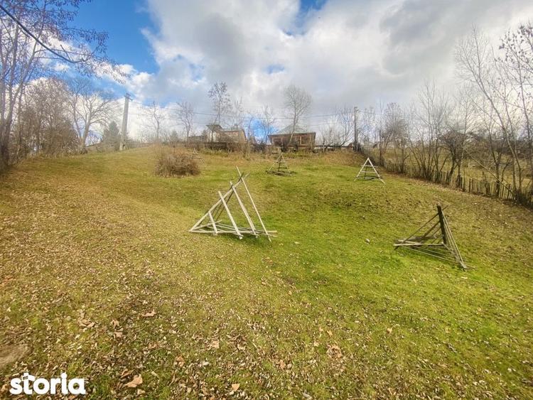 Teren de 1135 mp, în Valea Doftanei