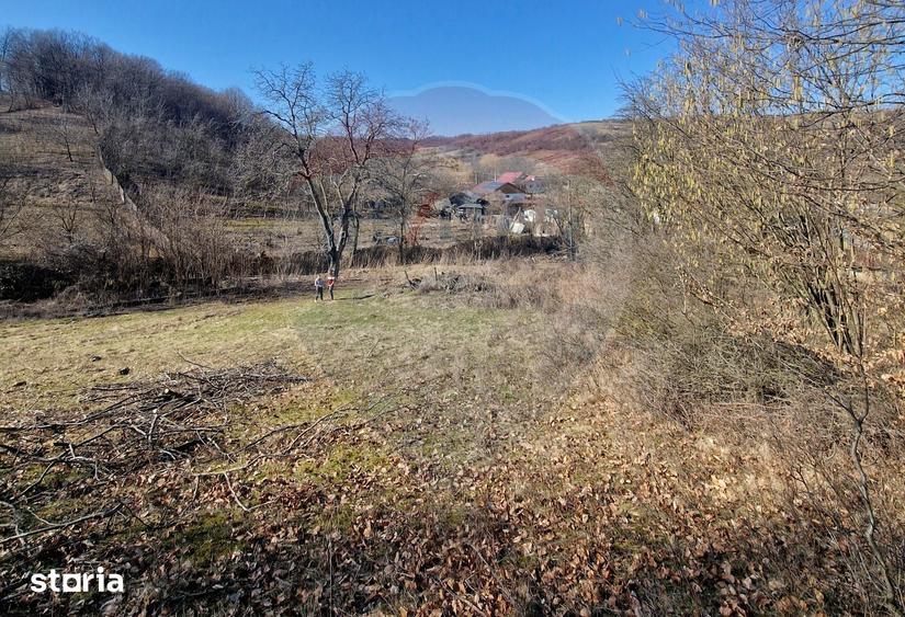 Teren de 4985 mp, în Sascut