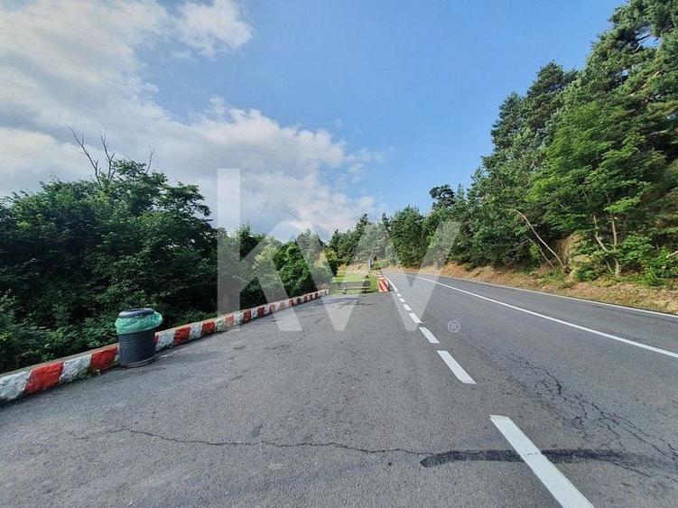 Teren Construcții intravilan de 6714 mp, în Drumul Poienii