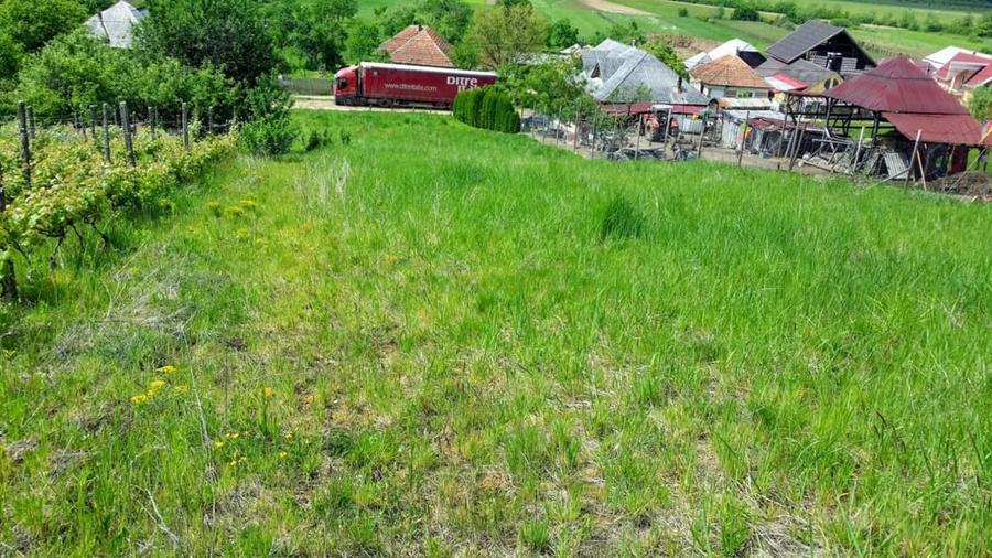 Teren în Racșa