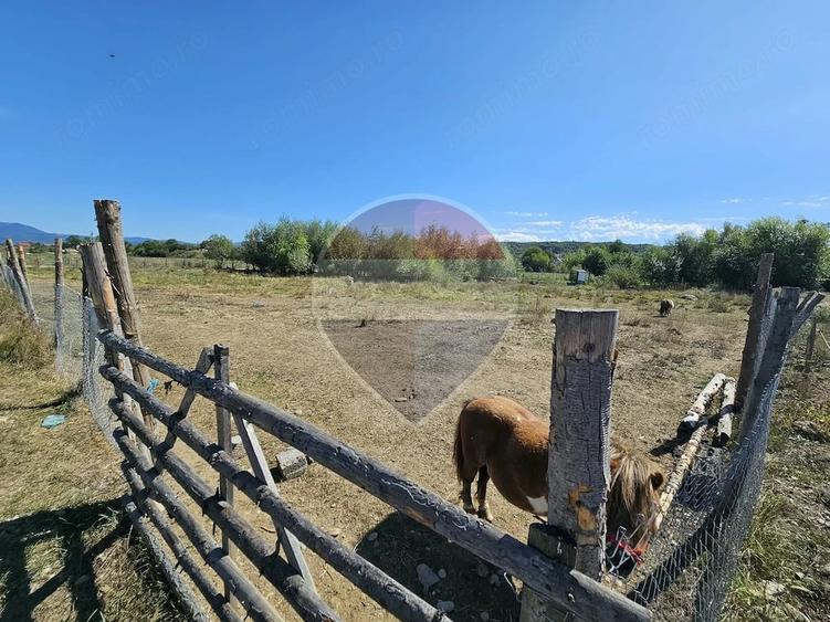 Teren de 3000 mp, în Câmpulung la Tisa