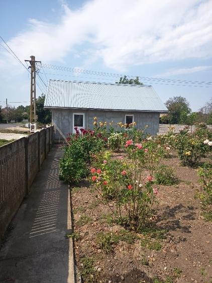 Casă individuală cu 4 camere cu Teren 2400 Mp în Traian