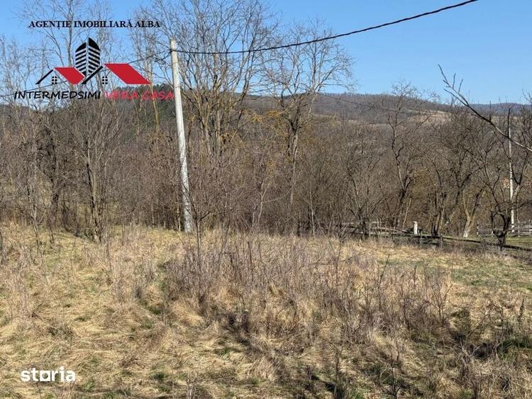 Casa si anexe cu un teren de 7701 mp de vanzare in Stauini Jud Alba - 12