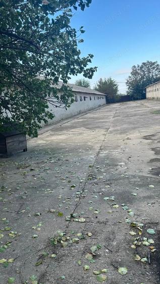 Teren de 5000 mp, în Central