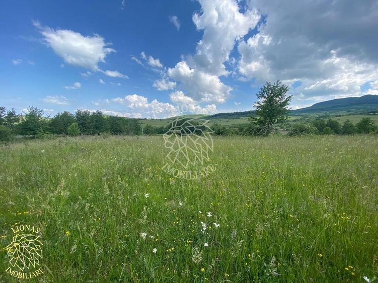 Teren agricol extravilan de 6500 mp, în Cușma