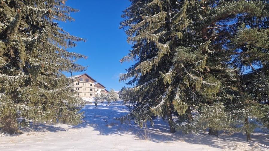 Apartament cu 2 camere semidecomandat, mobilat în Poiana Brașov