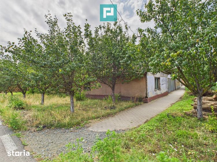 Teren de 1440 mp, în Secusigiu