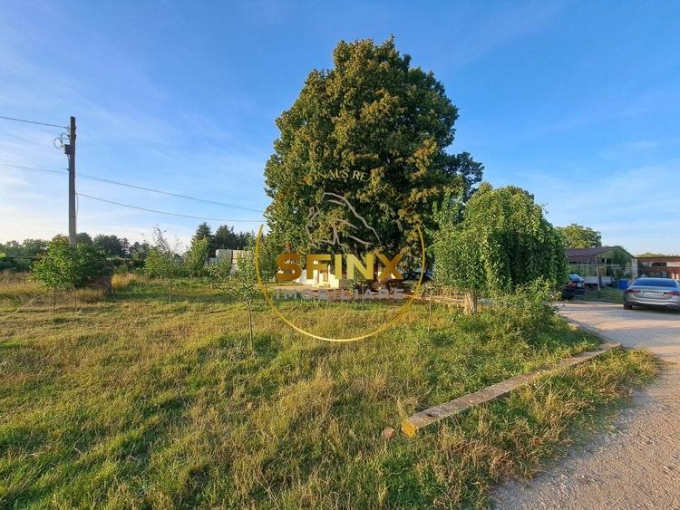 Teren construcție, în Săftica