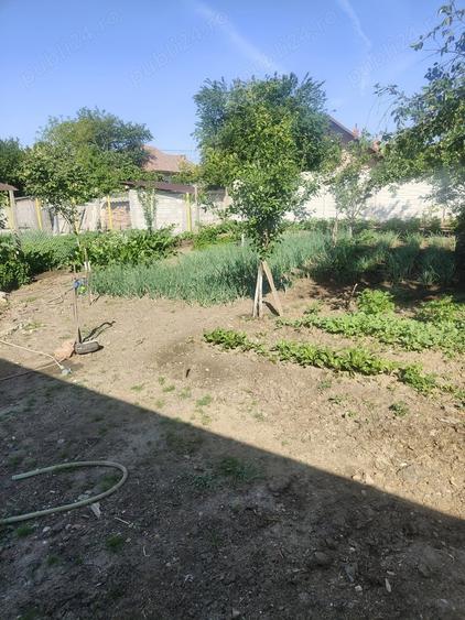 Casă cu 3 camere în Central