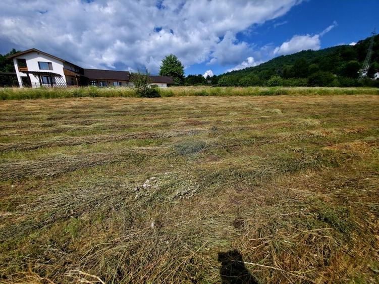 Teren Construcții intravilan de 600 mp, în Viișoara