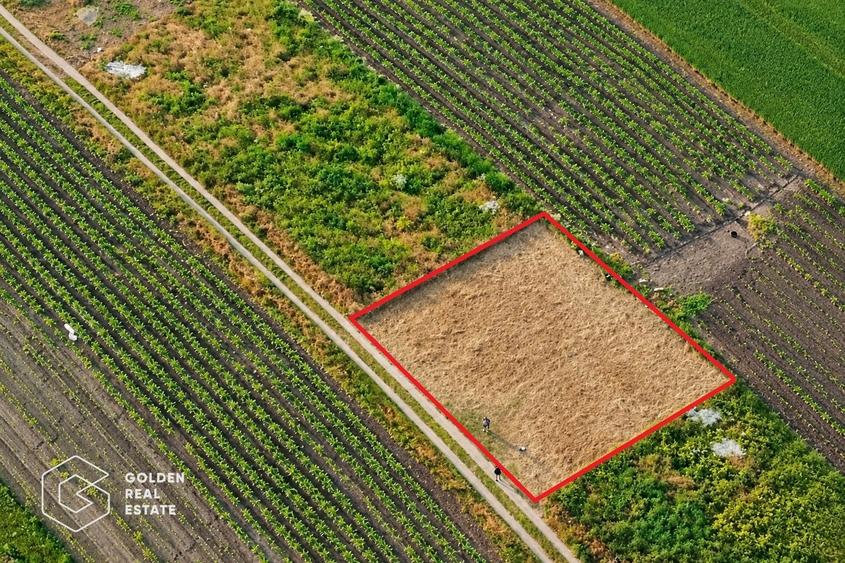 Teren Construcții intravilan de 400 mp, în Sânpaul