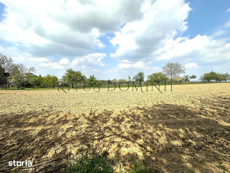 Teren Intravilan de Vanzare, Cetariu, 5450mp - 1