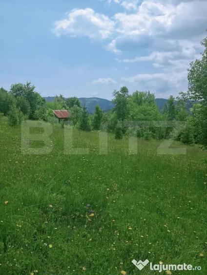 Teren de 30121 mp, în Scărișoara