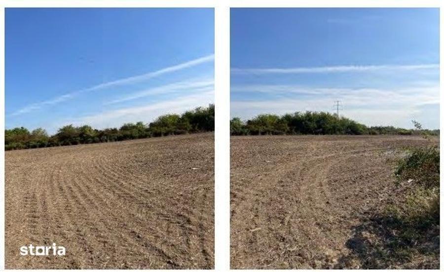 Teren de 5000 mp, în Halmeu