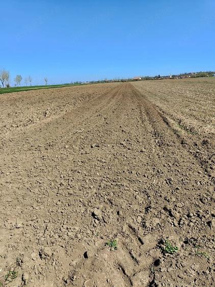 Teren de 4000 mp, în Plăiești