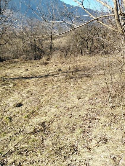 Teren de 765 mp, în Pârâul Pântei